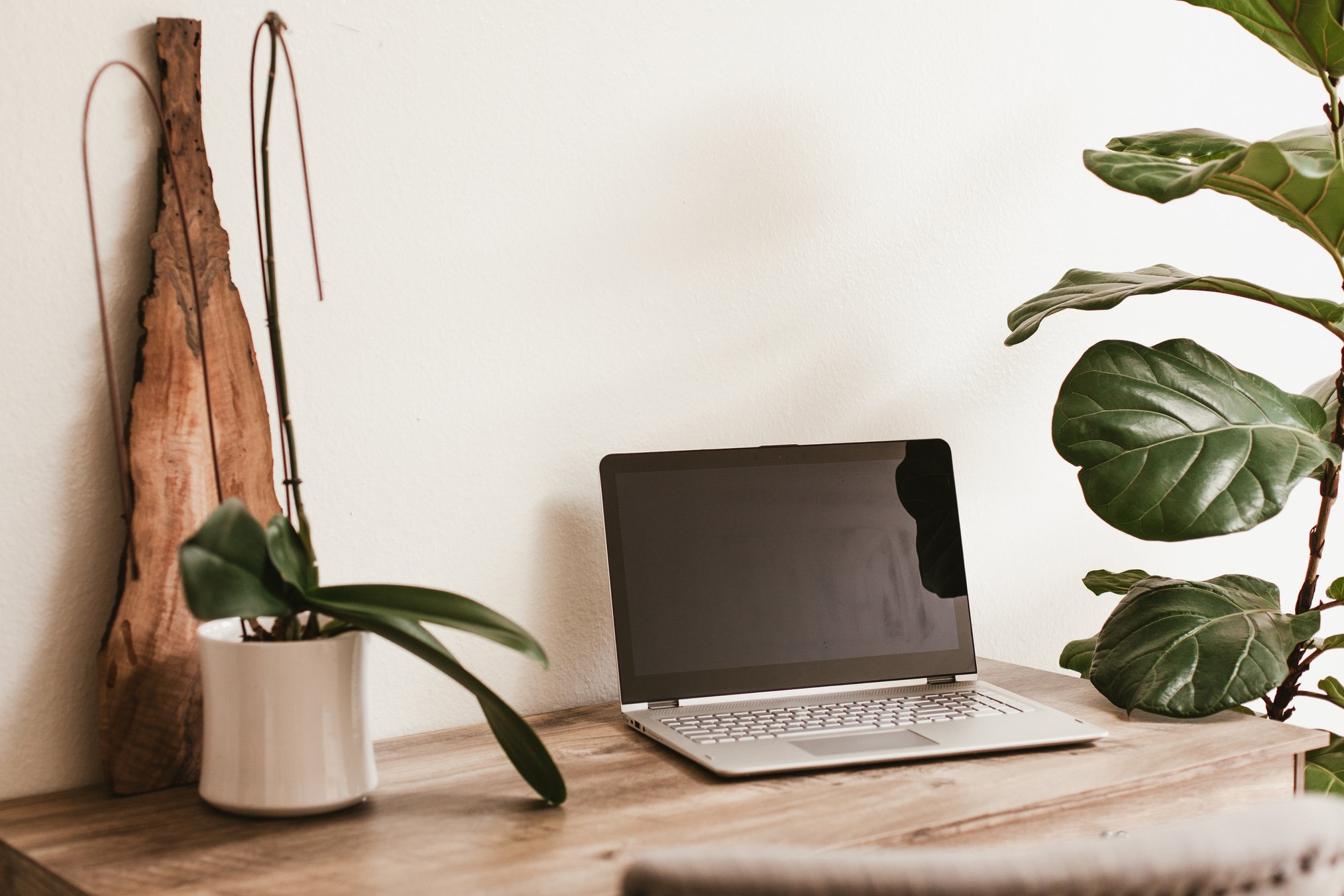 Working desk with laptop and house plants