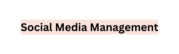 Social Media Management